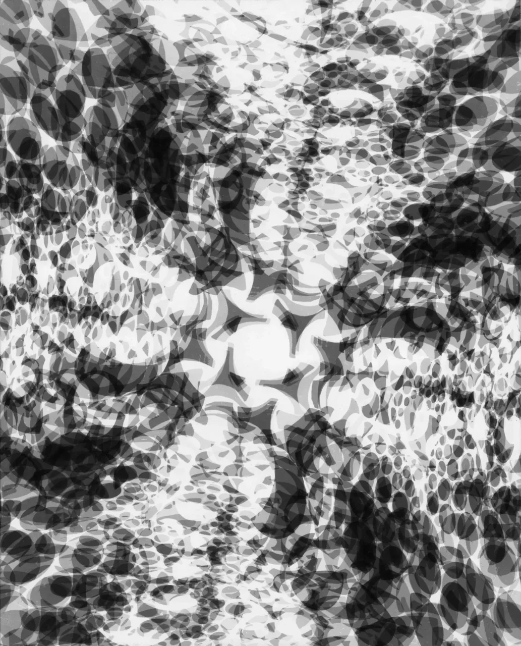 A3 · Nr. 019