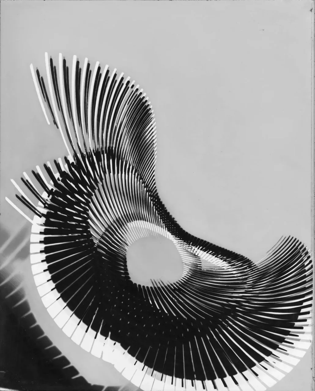D3 · Nr. 037