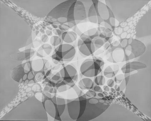 C6 b/w · Nr. 43