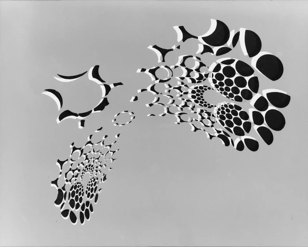 D10 · Nr. 061